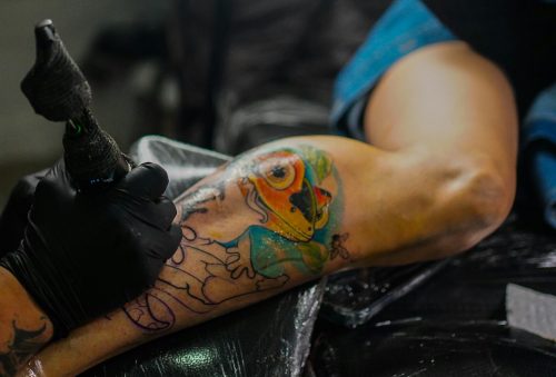 TKTX Gold 40% photo review